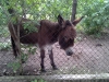 20130526_150108a